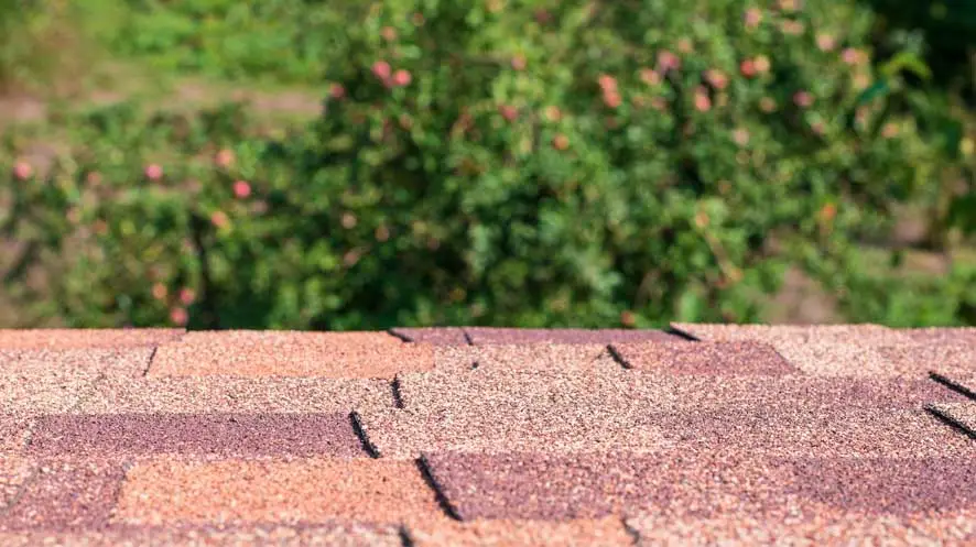 How suitable Shingles Roofing in Kerala How suitable Shingles Roofing in Kerala